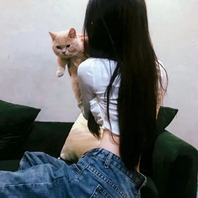 我把忠诚献给你